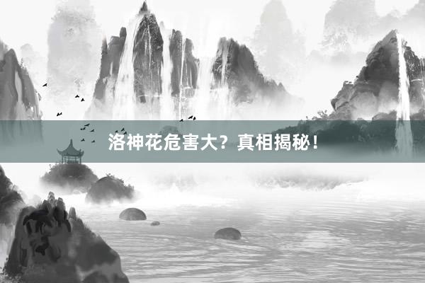 洛神花危害大？真相揭秘！